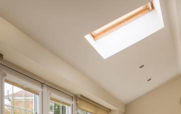 Balnaguard conservatory roof insulation companies
