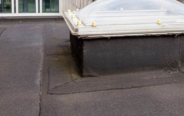 disadvantages of Balnaguard flat roofs