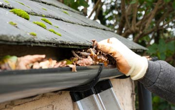 gutter cleaning Balnaguard, Perth And Kinross