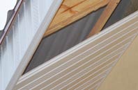rated Balnaguard soffit repair companies